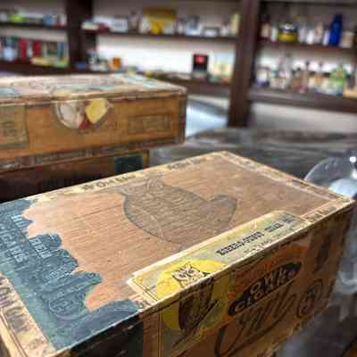 Owl Cigars