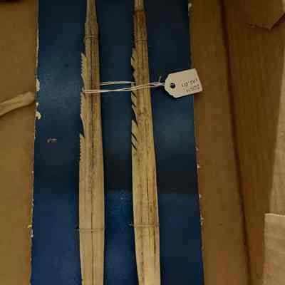 Bone Harpoon Barbs