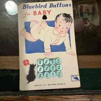 Blubird Buttons for Baby