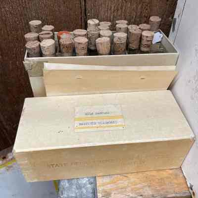 Mastitis Diagnosis Kit