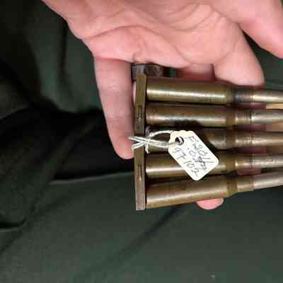 Stripper Clip + 5 Bullets