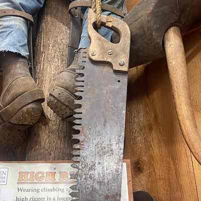 Crosscut Saw