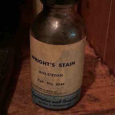 Wright’s Microscopy Stain Solution