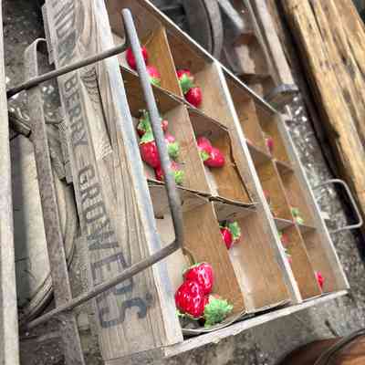 Lynden Strawberry Trolly