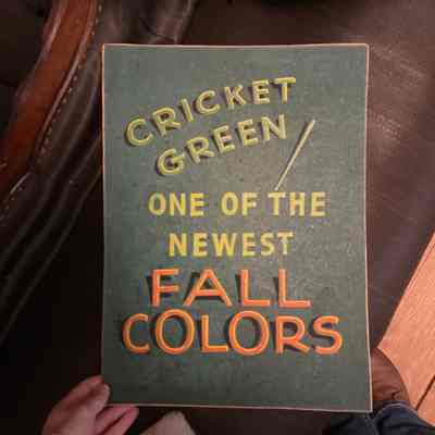 Large Cricket Green poster