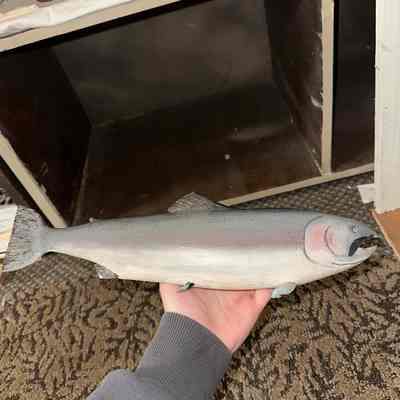 Carved and painted wood fish