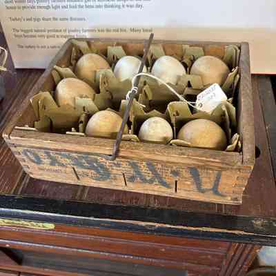 Small Egg Box with Handles