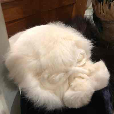 White Hat
