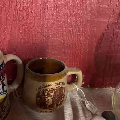 Carlsbad Caverns Mug