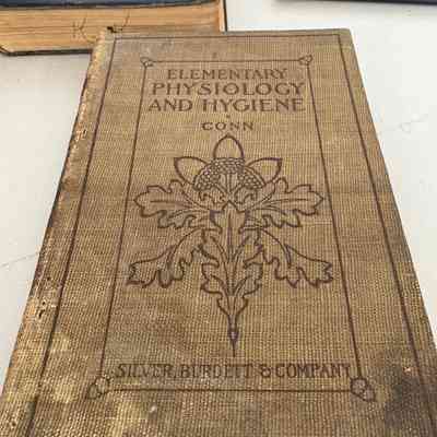 Elementry Physiology and Hygiene