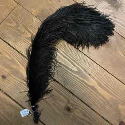 Black feather