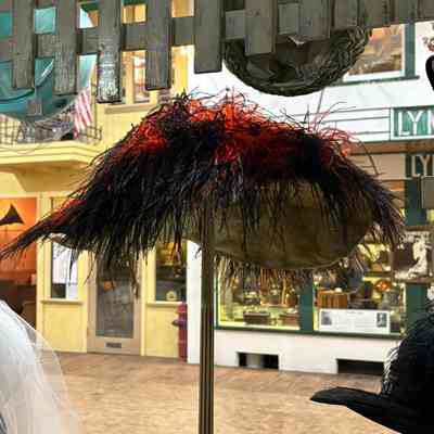 Orange and Black Feathered Wide Brim Hat