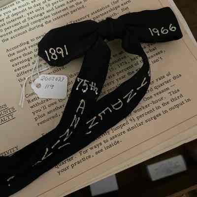 Lynden Ann. Ribbon