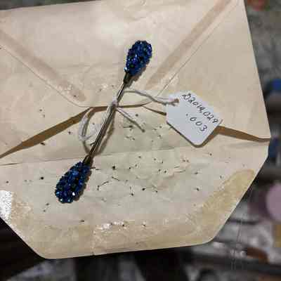 Hair Pin