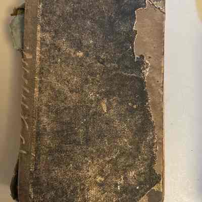 German Bible