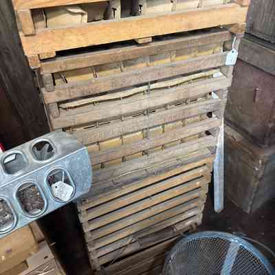 Large Egg Crate