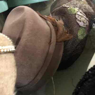 Dark Brown Hat