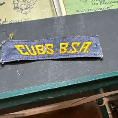 Cubs BSA Patch