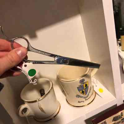 Scissors/ Shears