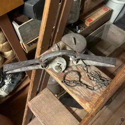 Oneida Victor Animal Trap