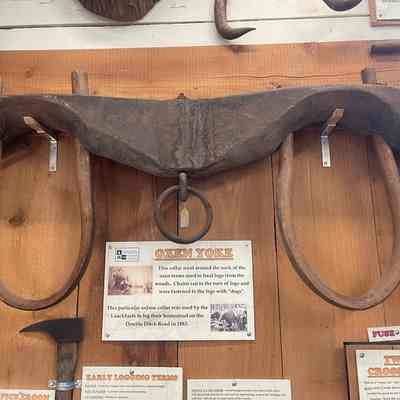 Oxen Yoke
