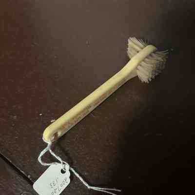 Denture Brush