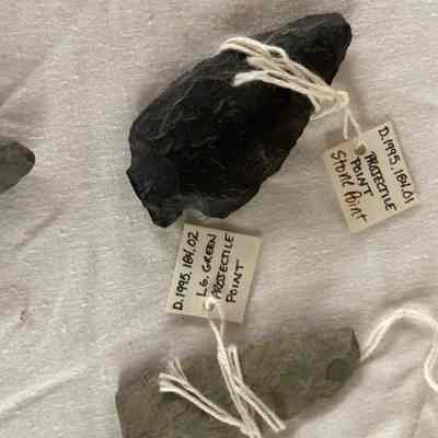 Two Projectile Points