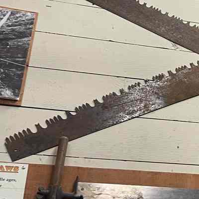 Two Man Bucking Saw (2)