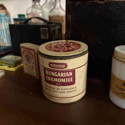 Hungarian Chamomile