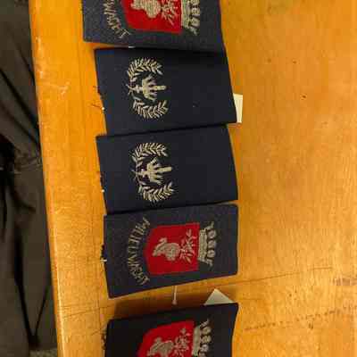 Five Dutch Police Shoulder Insignias