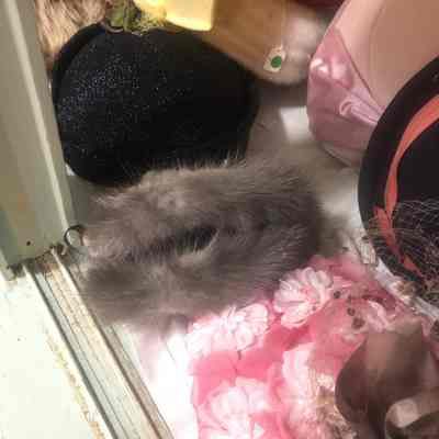 Fur Bonnet