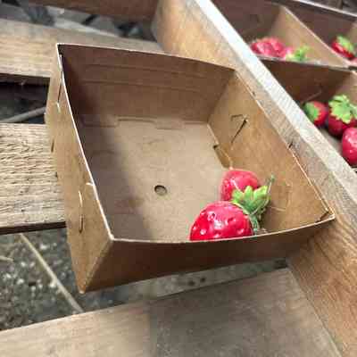 Strawberry Boxes