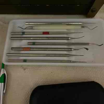 Collection of Dental Tools