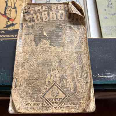 Boy Cub Book