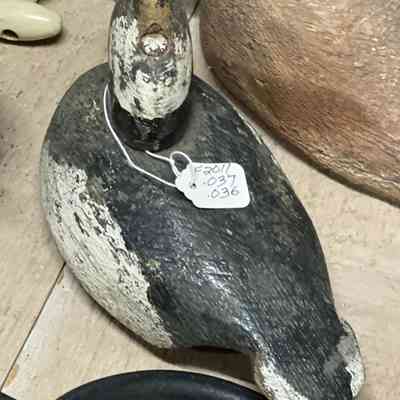 Duck Decoy