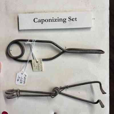 Caponizing Set