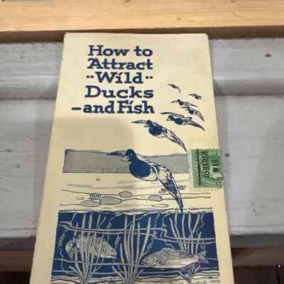Duck Pamphlet