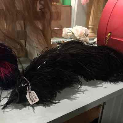 Black Feather
