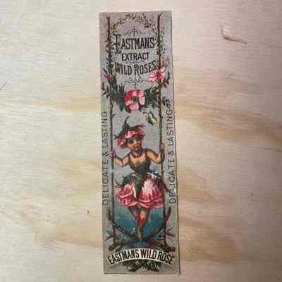 Eastman’s Wild Rose Bookmark