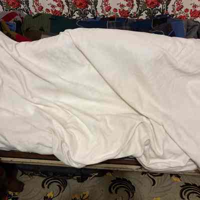 Cotton quilt