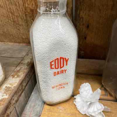 Eddy Dairy Milk Bottle