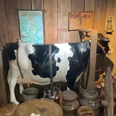 Fiberglass Cow