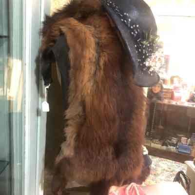 Beaver Fur