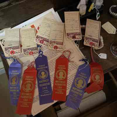 6 NW Washington Fair Ribbons