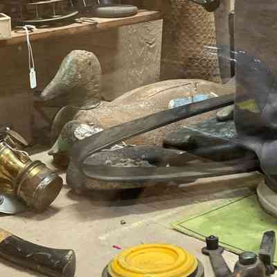 Decoy Duck