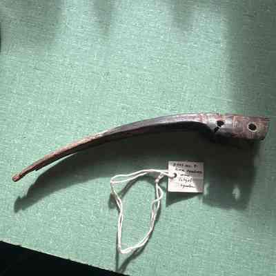 Horn Spoon Handle