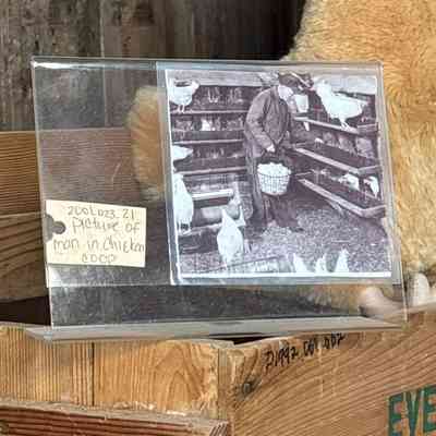 Photo of Man in Chicken Coop