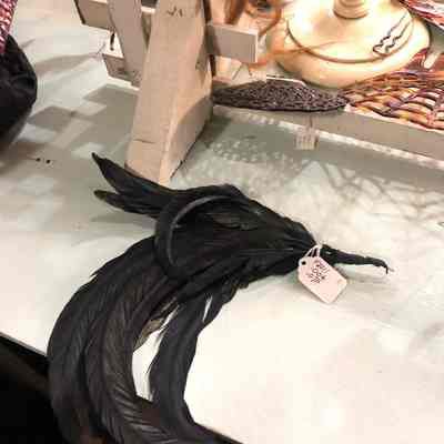 Black Feathers