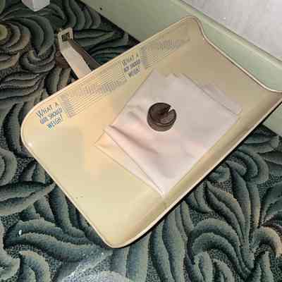 Baby Scale