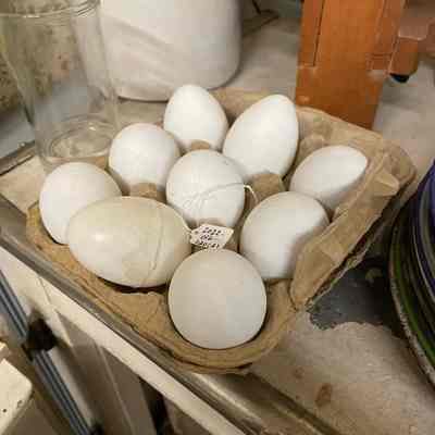 Egg Carton